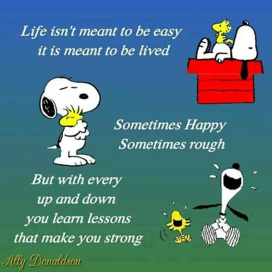 83 Snoopy Quotes ideas  snoopy quotes snoopy snoopy love