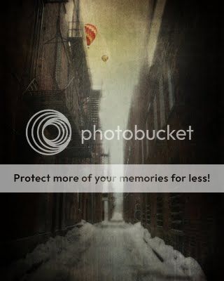 http://i1143.photobucket.com/albums/n627/thedogcody/alleyway-gala.jpg