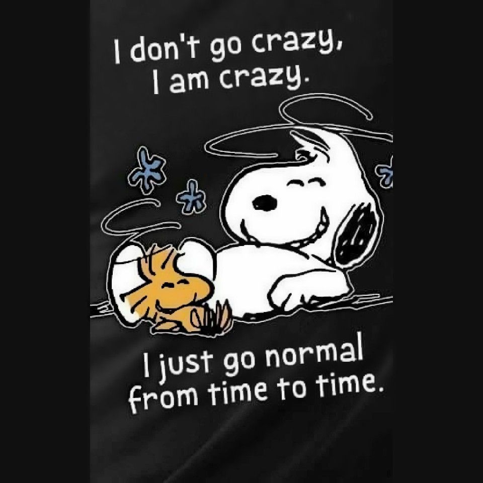 I dont go crazy I am crazy I just go normal from time to time  Snoopy  funny Snoopy quotes Sarcastic quotes funny