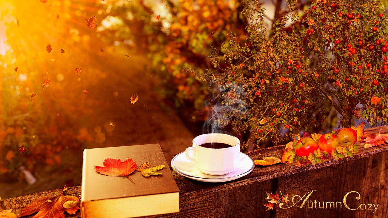 Image result for Autumn morning images