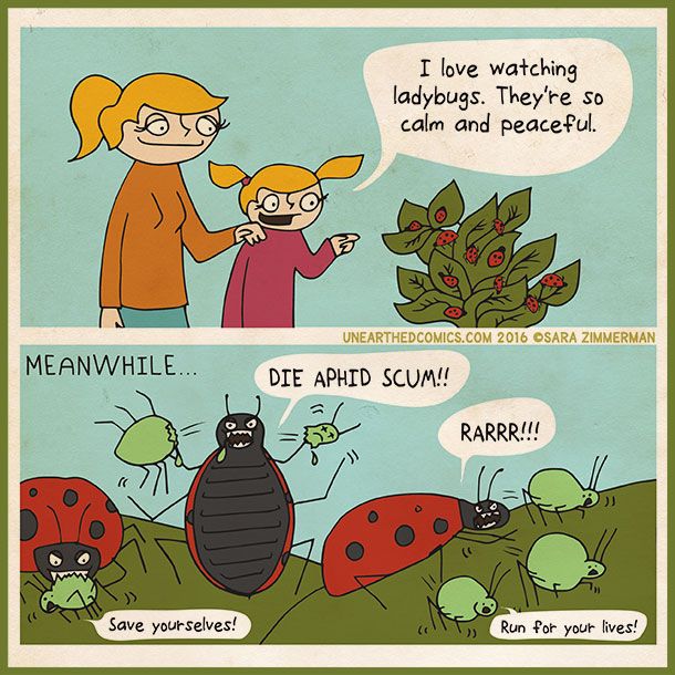 Gardening Comics And Science Humor About Ladybugs  Gardening quotes funny  Gardening humor Science humor