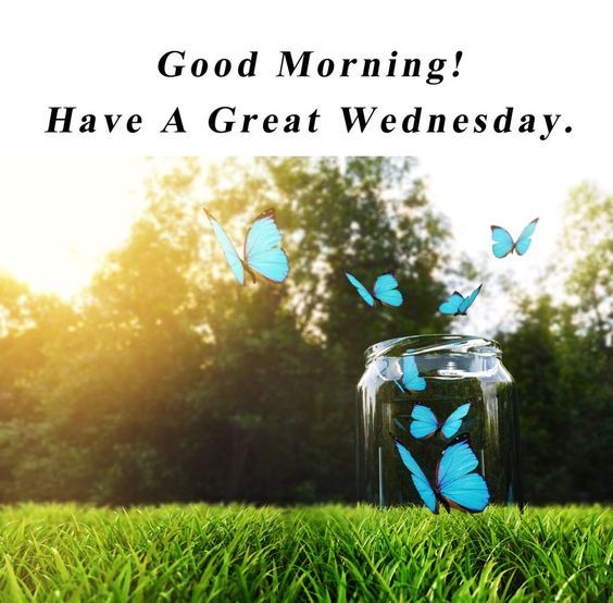Good Morning Have A Great Wednesday Pictures Photos and Images