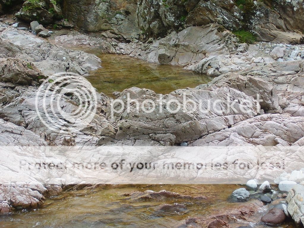 http://i1331.photobucket.com/albums/w595/fairygirl55/P6200041_zpsnqxj3oiy.jpg