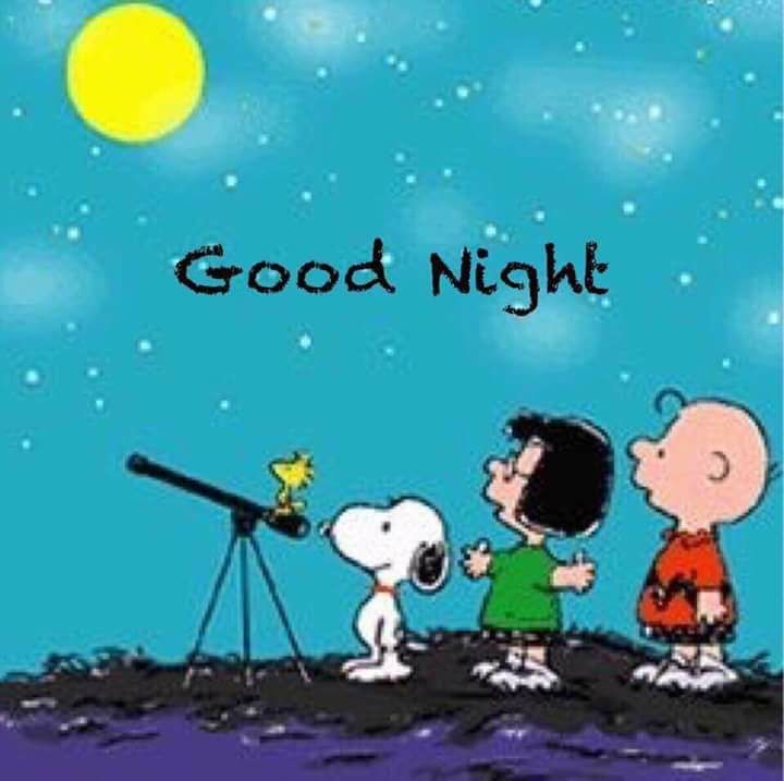 Moon watching  Goodnight snoopy Snoopy funny Snoopy