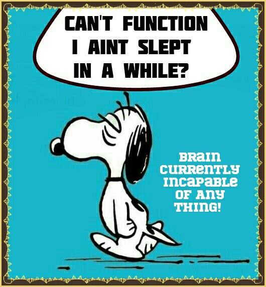 Pin on snoopy