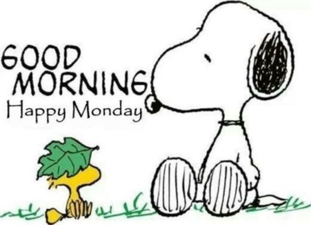 10 Monday Snoopy Quotes For The New Week  Good morning happy monday Good morning  snoopy Good morning happy