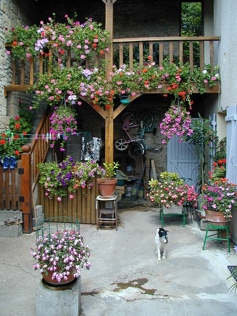 http://farm4.staticflickr.com/3583/3395714114_153124c03a_z.jpg
