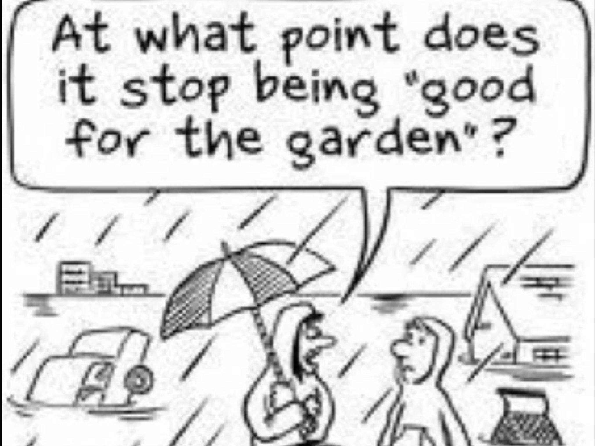 Its raining its pouring  Rain quotes Garden quotes Cute quotes
