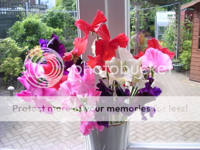 http://i27.photobucket.com/albums/c186/DavidKnapper/DSCN0686.jpg