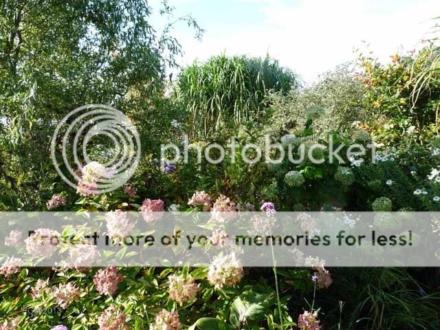 http://i703.photobucket.com/albums/ww32/Owdboggy/October%202013/Ocotber2013miscellany025.jpg