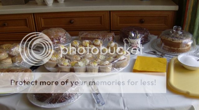 http://i1131.photobucket.com/albums/m551/lilylouise1/cakes003-1.jpg