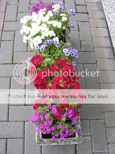 http://i27.photobucket.com/albums/c186/DavidKnapper/DSCN0585.jpg