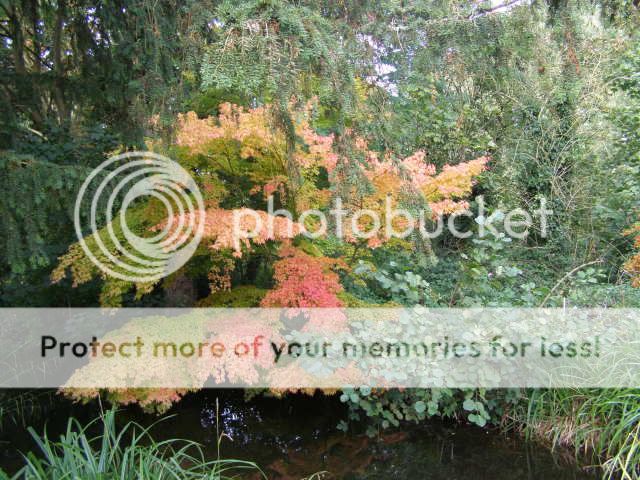 http://i27.photobucket.com/albums/c186/DavidKnapper/001-1.jpg