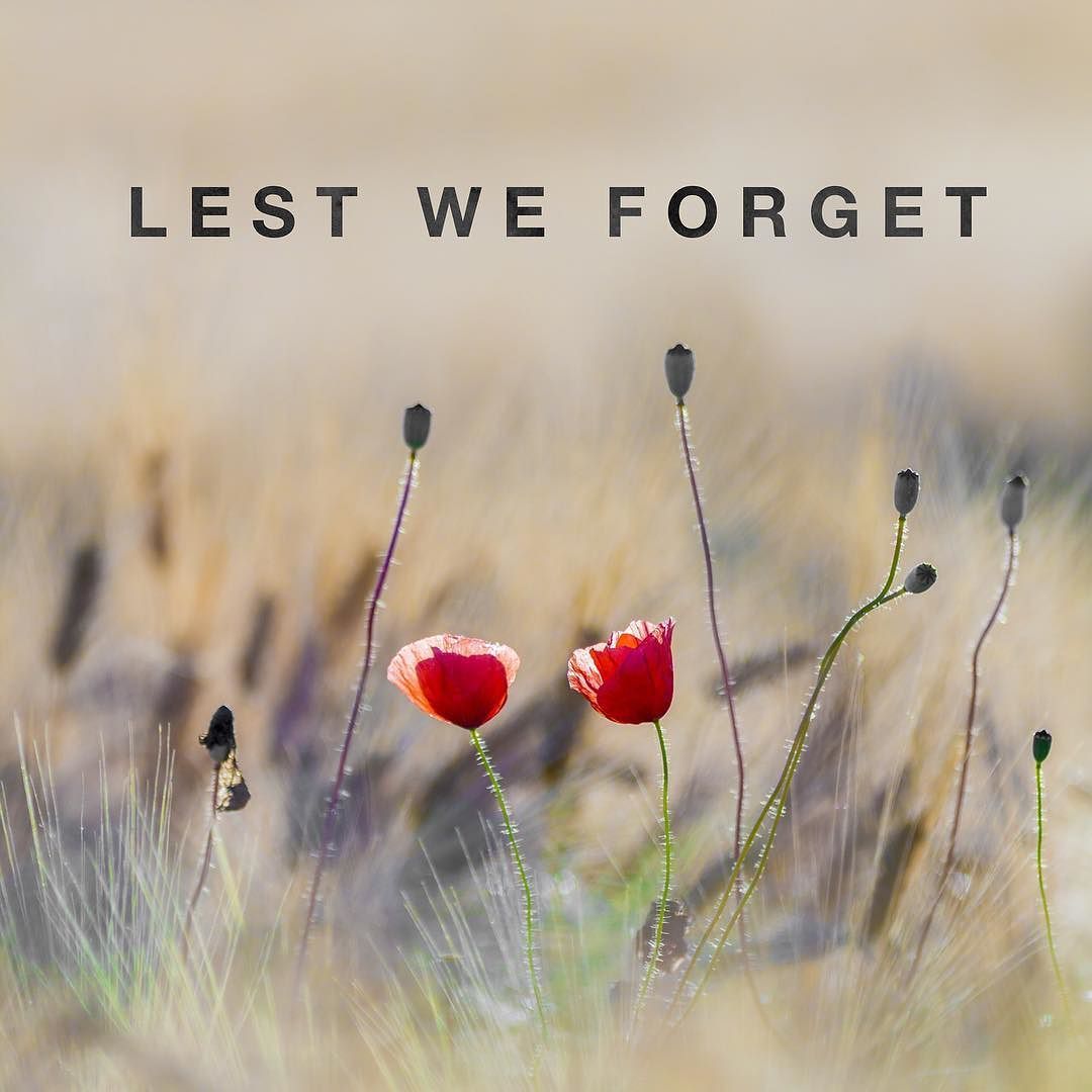 At the going down of the sun and in the morning we will remember them  remembranceday poppy lestweforget remembe  Remembrance day Lest we  forget Remembrance