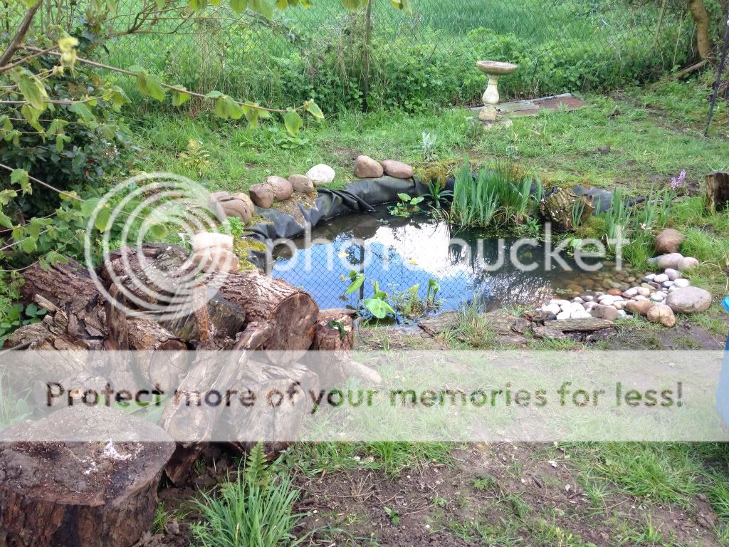 http://i1368.photobucket.com/albums/ag165/jdoherty1976/a1fd87d0db5e1d6405b42f256b4c7baa_zps03724f18.jpg
