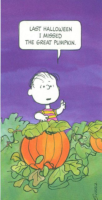 Linus in the Pumpkin Patch  Snoopy halloween Charlie brown halloween  Last halloween