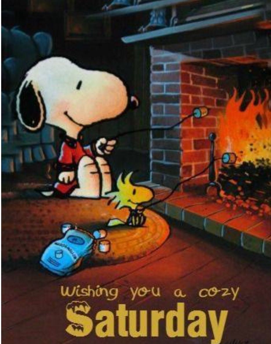 Pin by Susan Davis on GREETINGS CONGRATULATIONS GRATITUDE  CONDOLENCES   Snoopy Snoopy quotes Snoopy pictures