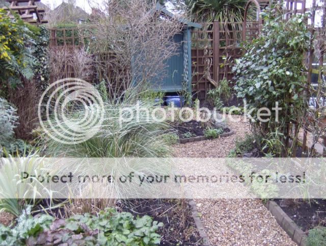 http://i1131.photobucket.com/albums/m551/lilylouise1/wintergarden006-1.jpg