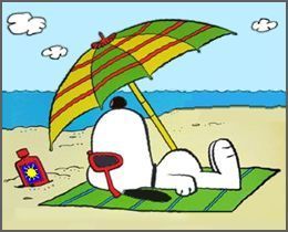 Delightful  Peanuts  Fun in the Sun  Snoopy funny Snoopy  pictures Snoopy love