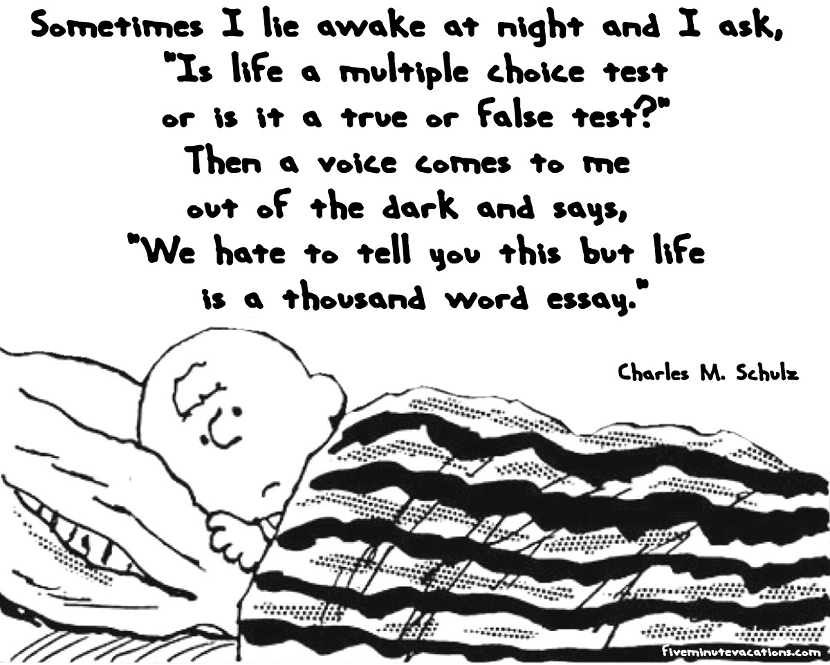 Snoopy And Charlie Brown Quotes QuotesGram
