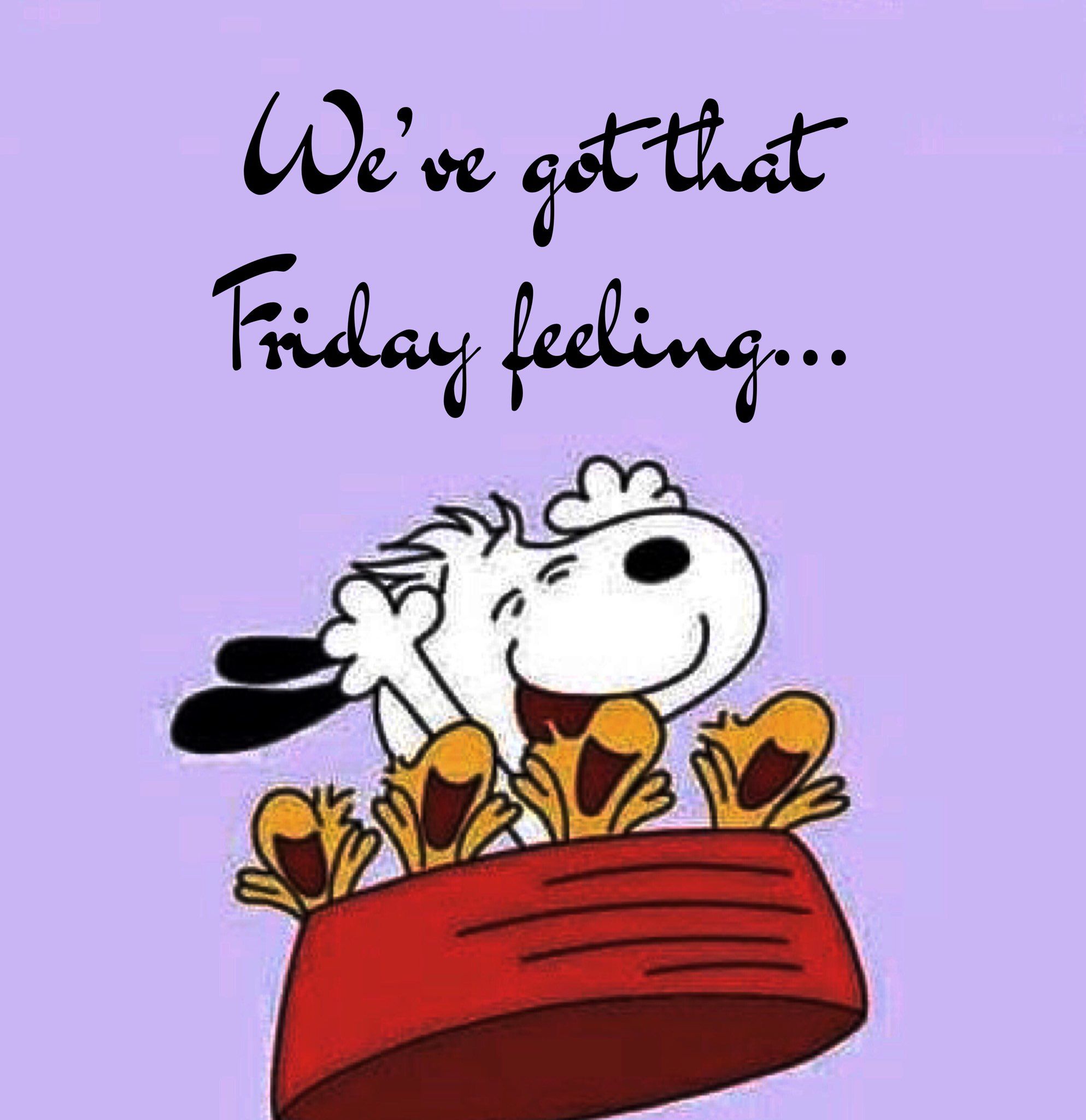 Pin by Aunt Polly Ann on Monday Memes  Friday quotes funny Happy friday  quotes Its friday quotes