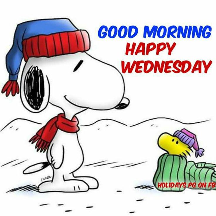 Good morning happy Wednesday  Snoopy quotes Happy