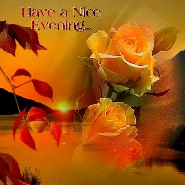 Nice evening  Good evening wishes Evening quotes Good evening