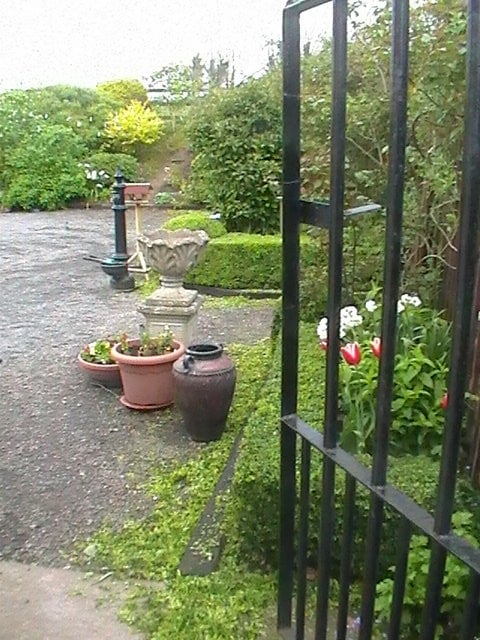 Gloves n Wellies