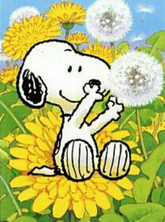 44 Snoopy gardening ideas  snoopy snoopy and woodstock charlie brown and  snoopy