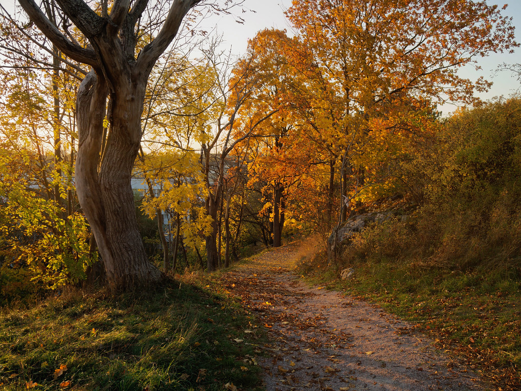 Autumn Evening  Jaf-Photo  Flickr