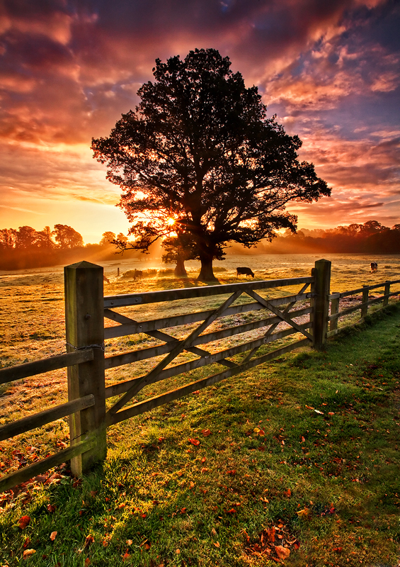 Image result for Autumn Sunrise images