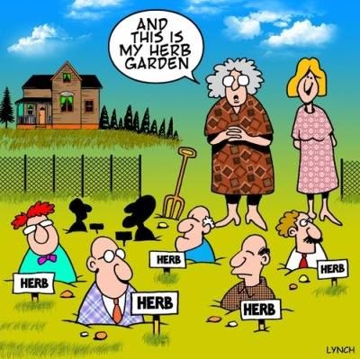 A new twist on an old garden concept  Gardening humor Humor Funny  cartoons