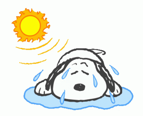 Snoopy Hot Sticker - Snoopy Hot Sweating - Discover  Share GIFs  Snoopy  wallpaper Snoopy pictures Snoopy