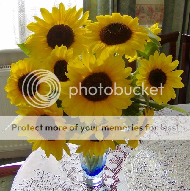 http://i1131.photobucket.com/albums/m551/lilylouise1/sunflowervase014-2.jpg