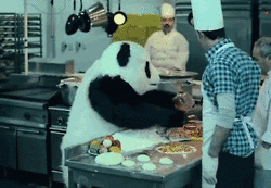 http://i1.kym-cdn.com/photos/images/newsfeed/000/372/866/a94.gif