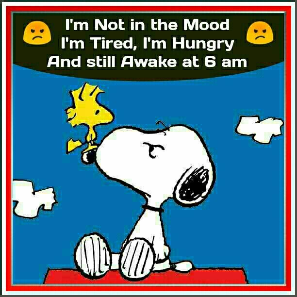 Pin on Snoopy and friends