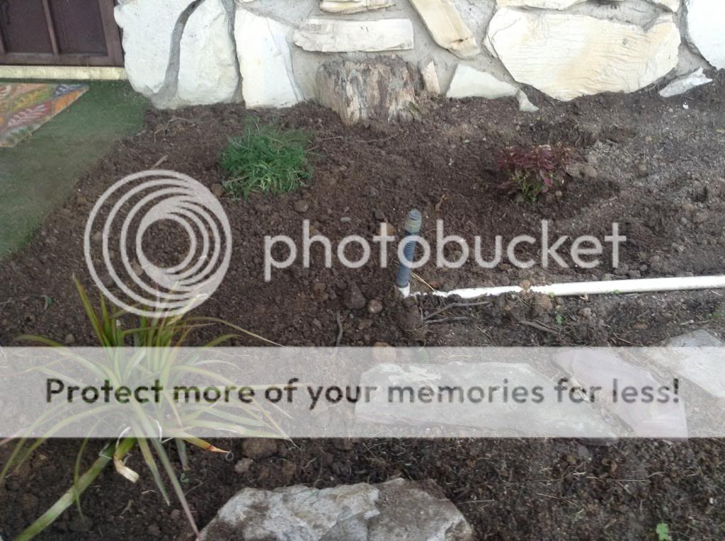 http://i1294.photobucket.com/albums/b601/lakerhater1/photo11_zpsa09e87fd.jpg