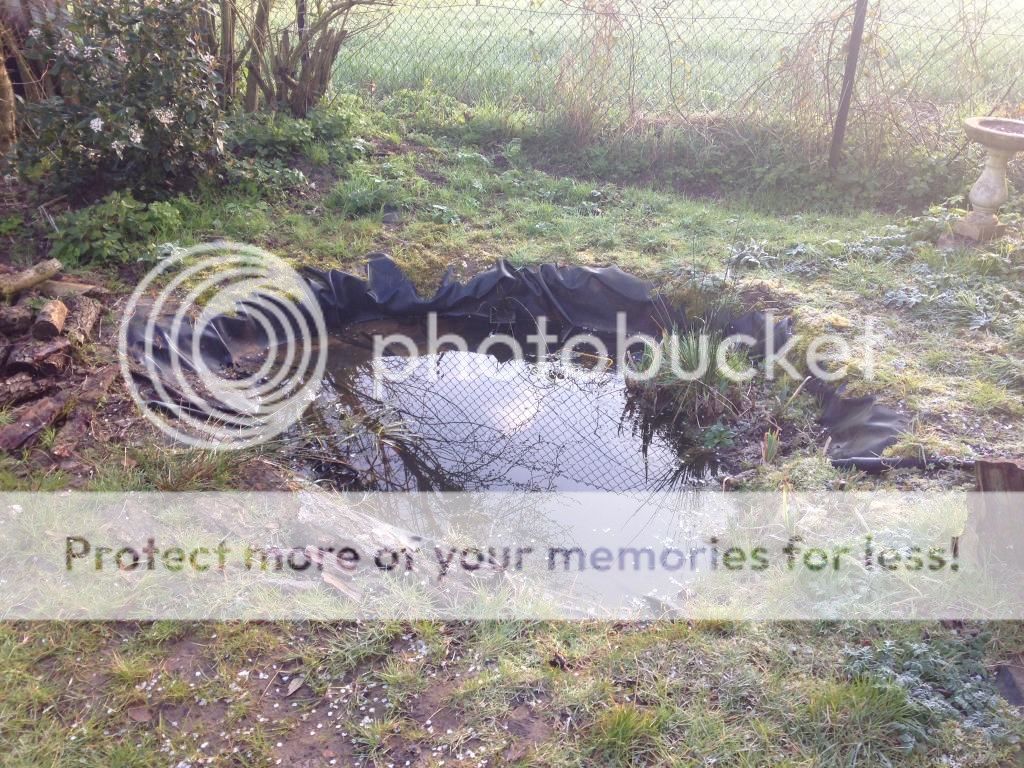 http://i1368.photobucket.com/albums/ag165/jdoherty1976/image1_zpsa443faf9.jpeg