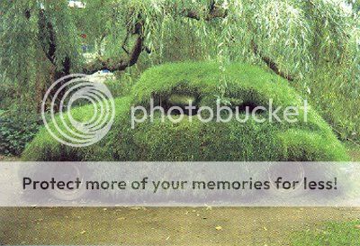 http://i1143.photobucket.com/albums/n627/thedogcody/grass-covered-car.jpg