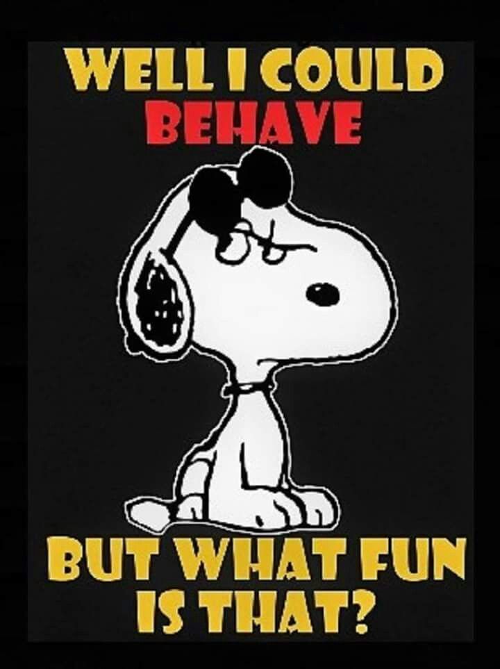 Pin by Ana Rebeca Sanchez on Charlie Brown and the peanut gang snoopy   Snoopy funny Snoopy quotes Snoopy pictures