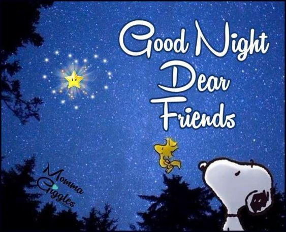 Good Night My Beautiful friends  Good night dear friend Good night  dear Good night friends