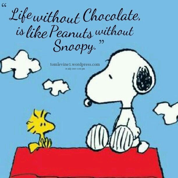Life Without Chocolate is Like Peanuts Without Snoopy  Snoopy Snoopy  pictures Snoopy quotes
