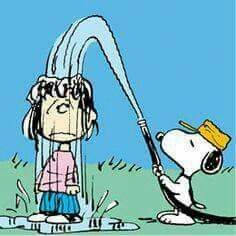 Cool off on a hot day  Peanuts snoopy woodstock Charlie brown and snoopy  Snoopy comics