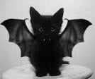 BatNix