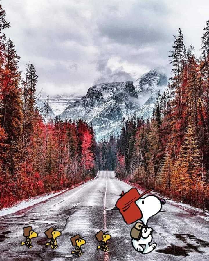 Pin by Monita Molina on Snoopy  Peanuts snoopy woodstock Snoopy pictures  Snoopy and woodstock