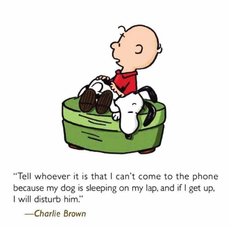 Charlie Brown - Tell whoever it is that I cant come to the phone because  my dog is sleeping on my lap and if I get up I wil  Charlie brown