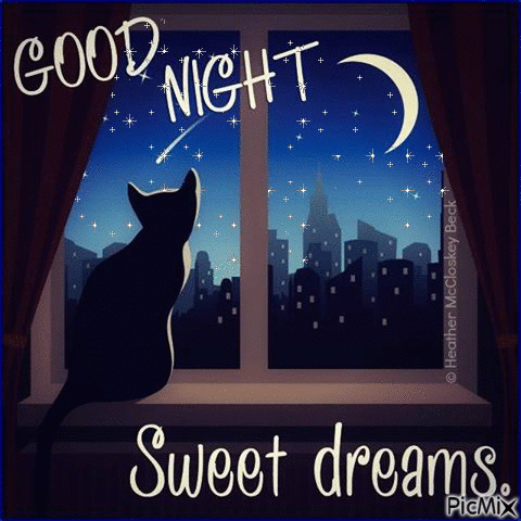good night sweet dreams Video  Good night sweet dreams Good night cat  Good night greetings
