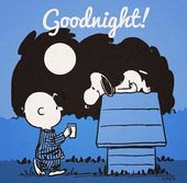 16 Good Morning ideas  snoopy love charlie brown and snoopy snoopy quotes
