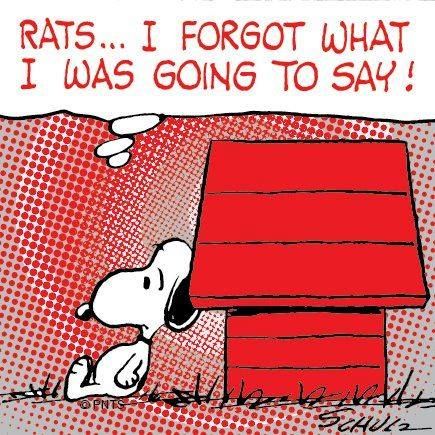 Pin on Funny Humor Silly