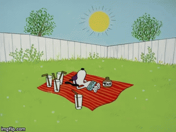 Image tagged in gifs  Snoopy pictures Snoopy wallpaper Snoopy images